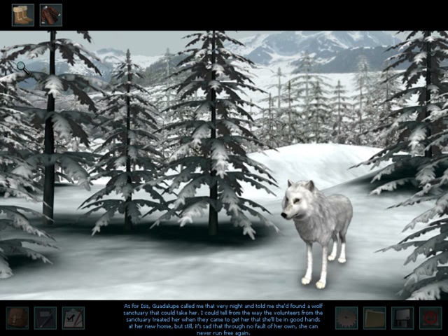 096612289_nancy-drew-white-wolf-of-icicle-creek-2.jpg
