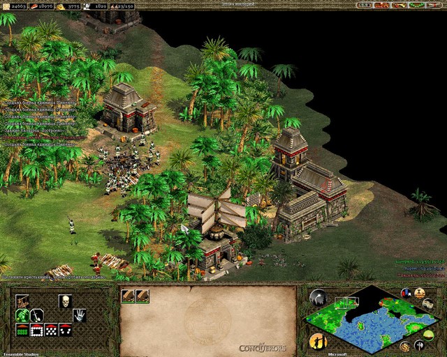 6276740655_age-of-empires-2-the-age-of-kings-3.jpg