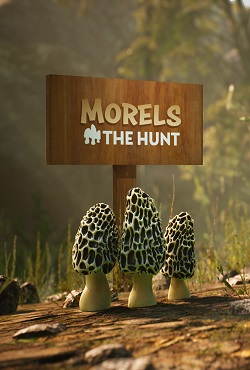 Morels The Hunt