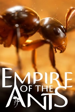 Empire of the Ants