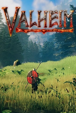 Valheim по сети