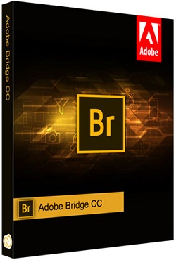 Adobe Bridge 2025