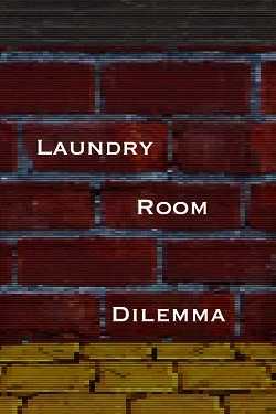 Laundry Room Dilemma