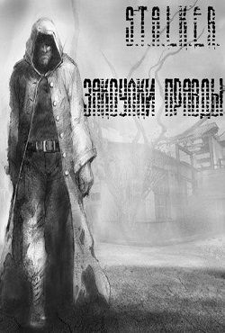 Сталкер Закоулки правды
