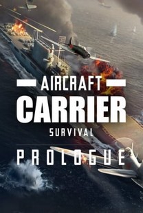 Aircraft Carrier Survival