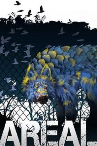 Areal
