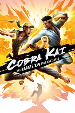 Cobra Kai The Karate Kid Saga Continues