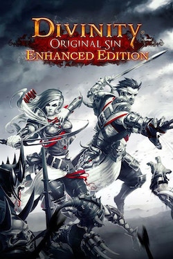 Divinity Original Sin Enhanced Edition