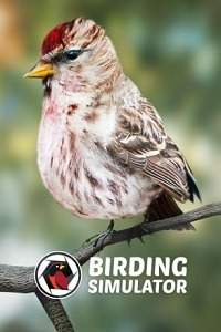 Birding Simulator