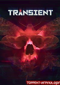 Transient